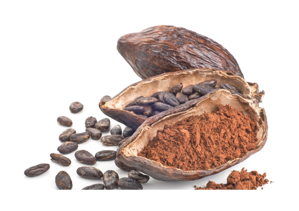 Ist Kakao gesund? 4 Vorteile der Kakaobohne